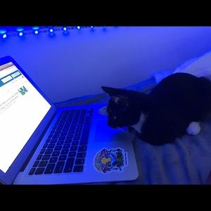 Meet your Posher, Jennifer